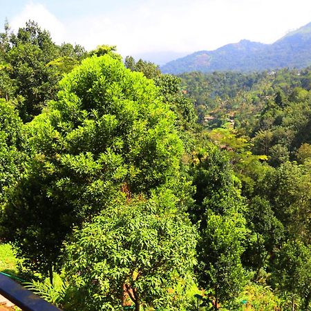 Green Magic Riverside Resort Munnar Eksteriør bilde