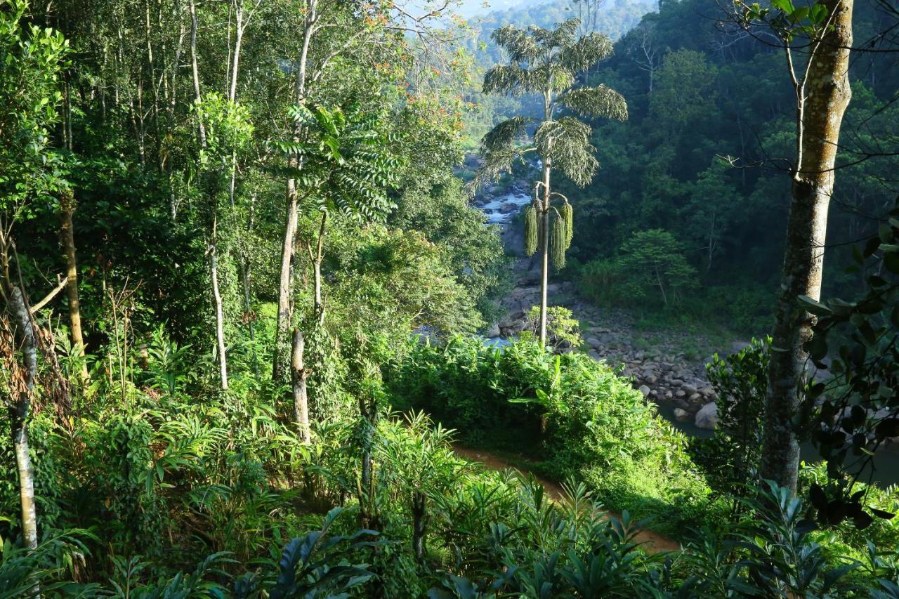 Green Magic Riverside Resort Munnar Eksteriør bilde