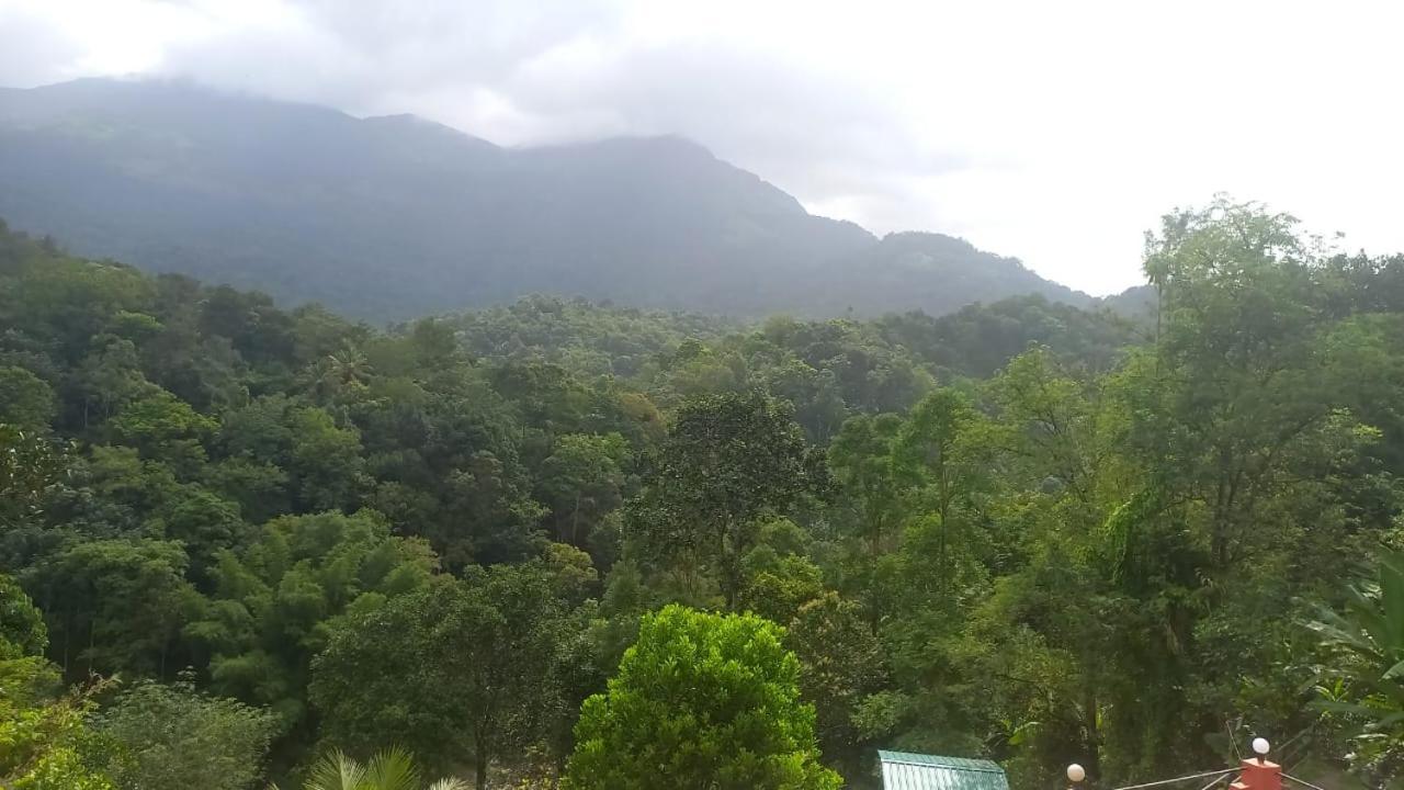 Green Magic Riverside Resort Munnar Eksteriør bilde