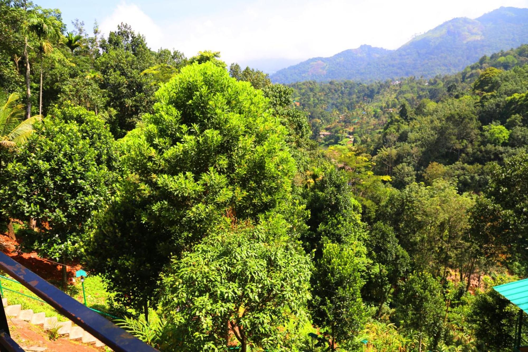 Green Magic Riverside Resort Munnar Eksteriør bilde