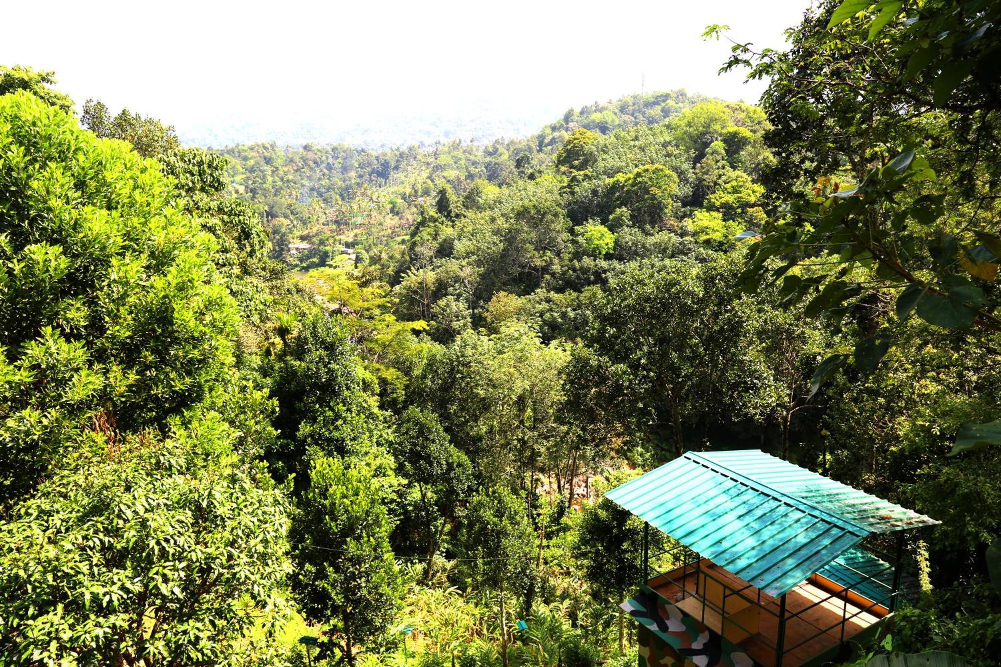 Green Magic Riverside Resort Munnar Eksteriør bilde